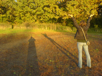 Similar image 148250