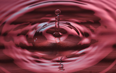 Similar image 148256