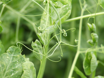 Similar image 148263