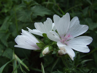 Similar image 148310