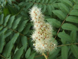 Similar image 148315