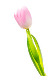 Similar image 148321