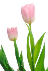 Similar image 148322