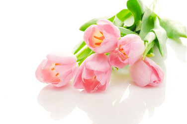 Similar image 148323