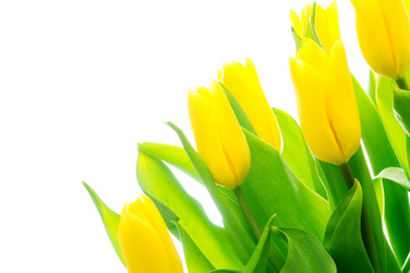 Similar image 148324