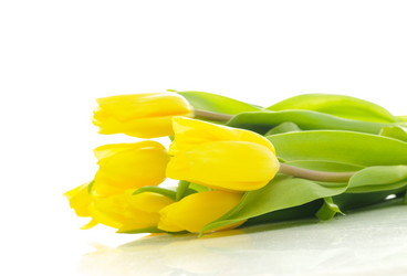 Similar image 148325