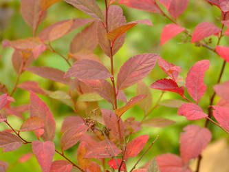 Similar image 148331