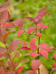 Similar image 148332