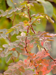 Similar image 148333