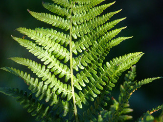 Similar image 148335