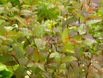 Similar image 148338