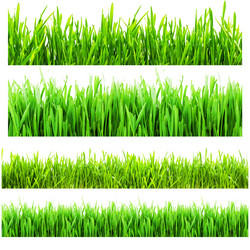 Similar image 148360