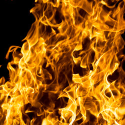 Similar image 148368