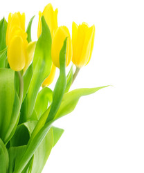 Similar image 148369