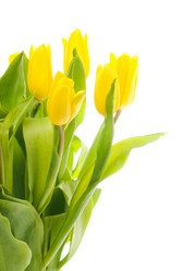 Similar image 148370