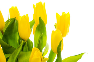 Similar image 148371