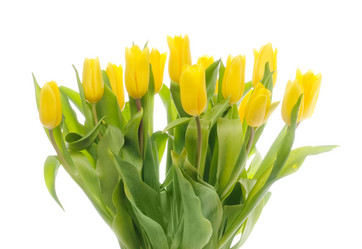 Similar image 148372