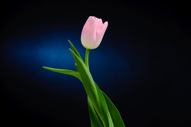 Similar image 148375