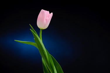 Similar image 148376