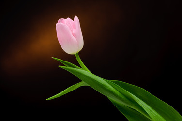 Similar image 148377