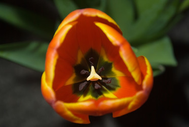 Similar image 148401