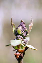 Similar image 148404