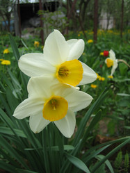 Similar image 148411