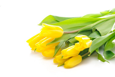 Similar image 148435