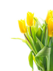 Similar image 148436