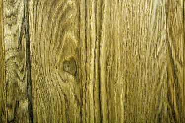 Similar image 148440