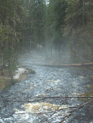 Similar image 148452