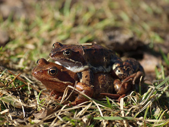 Similar image 148454