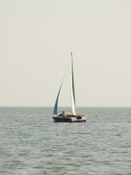 Similar image 148459