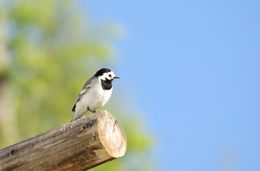 Similar image 148460