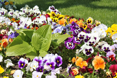 Similar image 148495