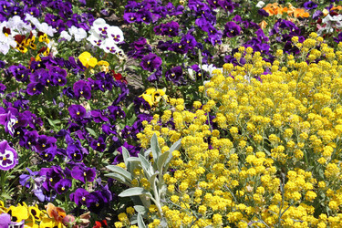 Similar image 148496