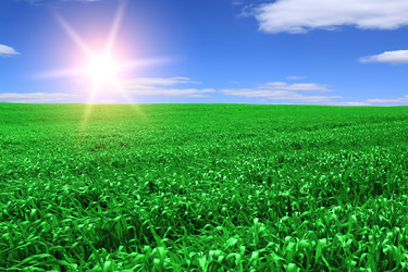 Similar image 148525