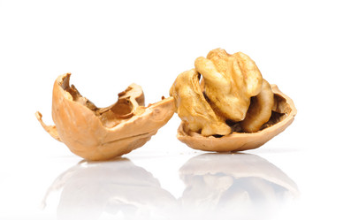 Similar image 148544