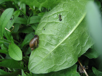 Similar image 148582