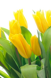 Similar image 148598