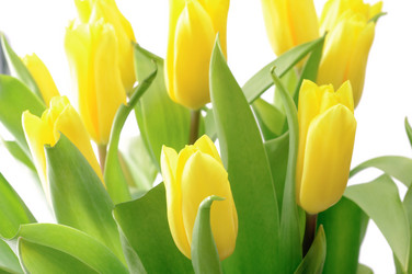 Similar image 148599