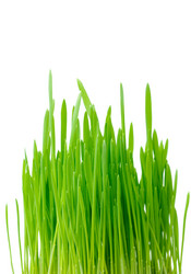 Similar image 148604