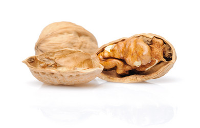 Similar image 148626