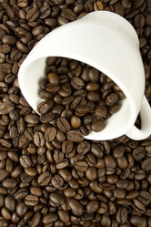 Similar image 148642