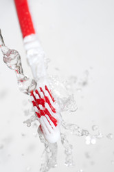 Similar image 148645