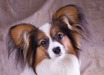 Similar image 148652