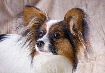 Similar image 148653