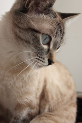 Similar image 148659