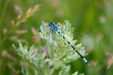 Similar image 148660