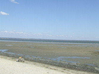 Similar image 148663